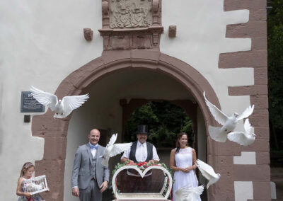 das hochzeitspaar lässt tauben in den himmel steigen